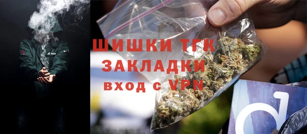 ГАЛЛЮЦИНОГЕННЫЕ ГРИБЫ Верея