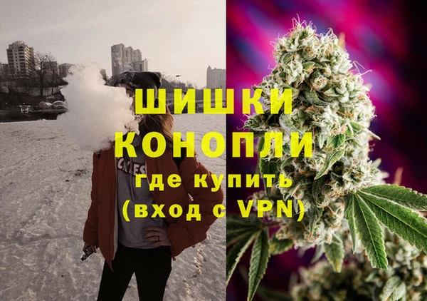 крисы Богородицк
