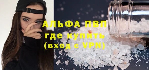 ГАЛЛЮЦИНОГЕННЫЕ ГРИБЫ Верея