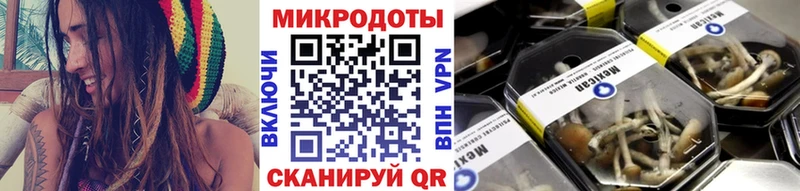 Купить Мичуринск Галлюциногенные грибы прущие грибы